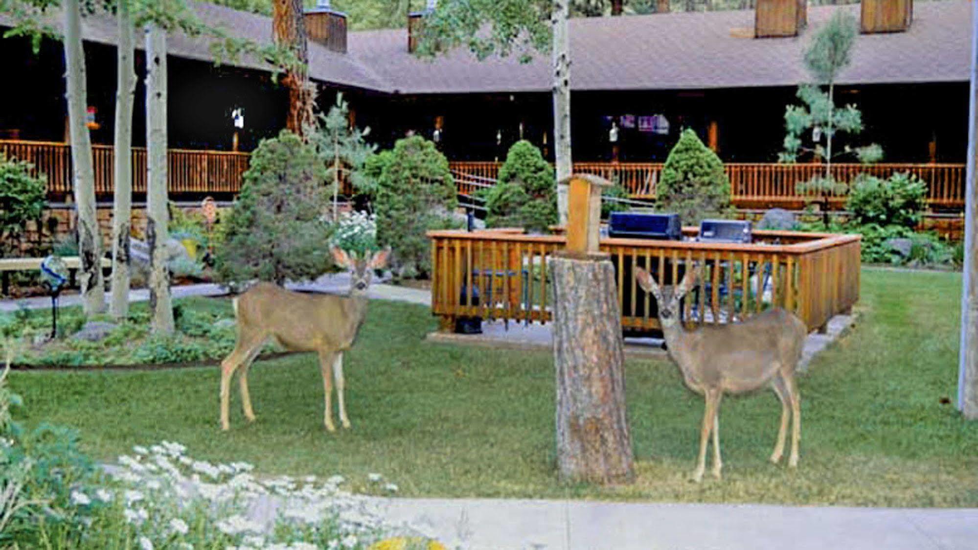 Shadow Mountain Lodge And Cabins رويدوسو، نيومكسيكو المظهر الخارجي الصورة